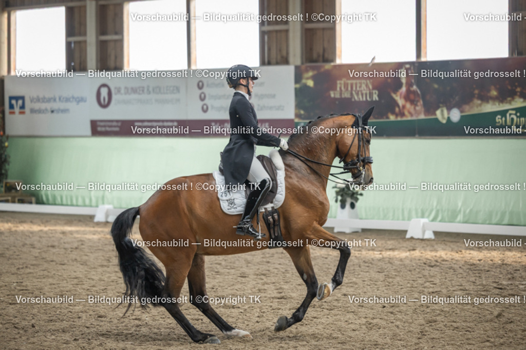 _D5A6700 | Emotionale Pferde- & People-Fotografie rund um Heidelberg, Leimen & Umgebung. Natürliche Fotos von Pferd, Mensch & Familie. Jetzt Termin sichern!