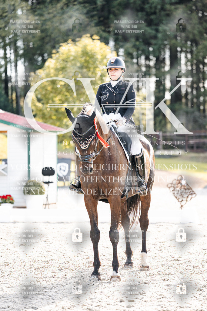 CK901755 | Turnierfotografie Pferdefotografie Trier Rheinland-Pfalz Pferdesport Reitsport Tierfotografie Sportfotografie Pferdevideo Pferdevideografie Equestrianvideography equestrianphotography  - Realisiert mit Pictrs.com