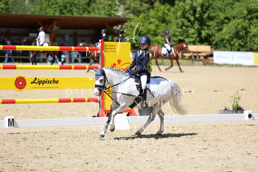 IMGS2549 | pl-fotografie