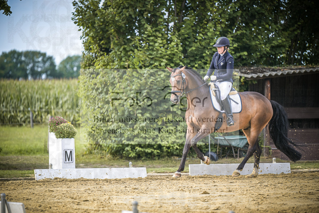 DOS_8924 | Entdecke hochwertige Reitturnierfotos von Foto Oger. Professionell, emotional und authentisch – jetzt Lieblingsmomente im Shop bestellen.Deutschlandweite Turnierfotografie. - Realisiert mit Pictrs.com