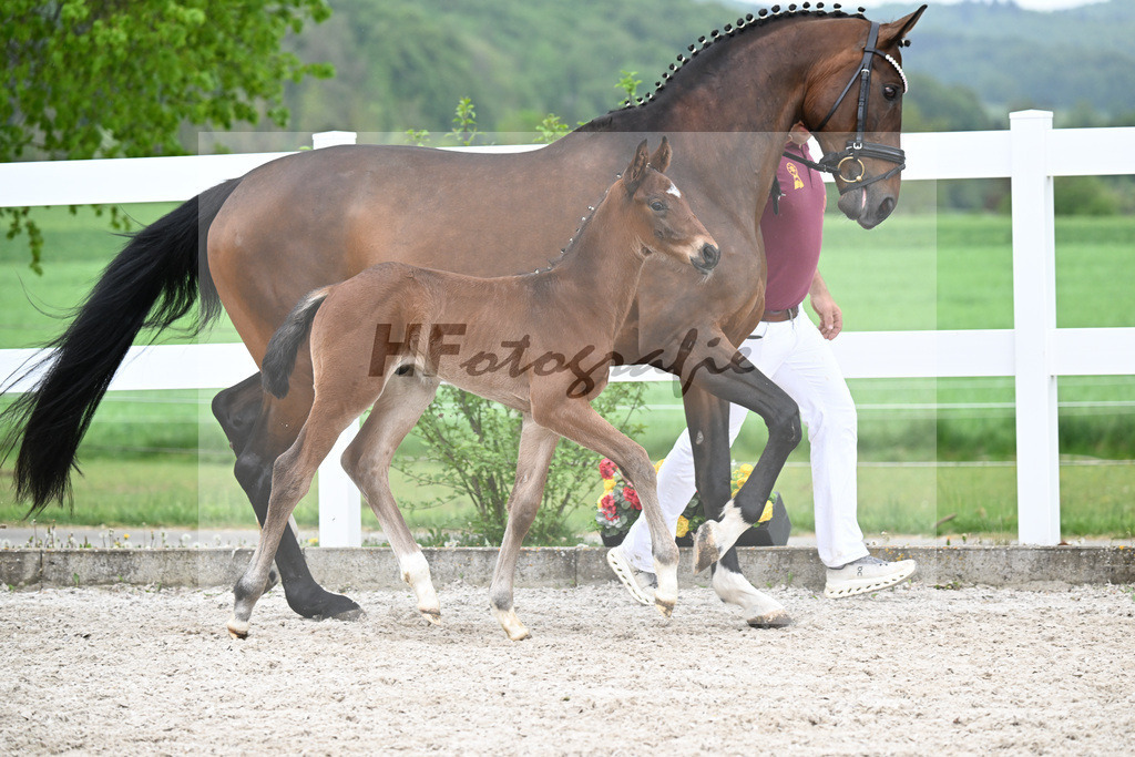 Kat-Nr. 13 HF Kruegerrand x L Espoir_Greim_23261131 | hf-fotografie - Realizzato con Pictrs.com