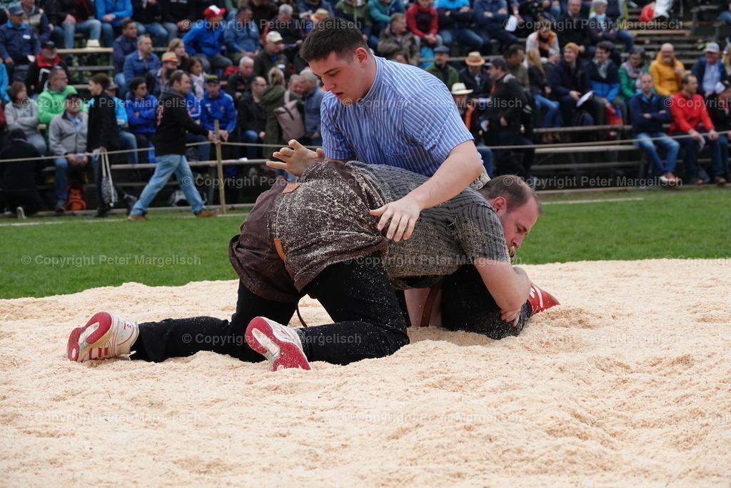 DSC03199 | Schwingen - Realisiert mit Pictrs.com