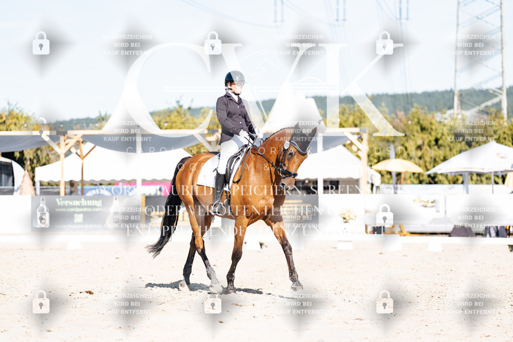 CK908146 | Turnierfotografie Pferdefotografie Trier Rheinland-Pfalz Pferdesport Reitsport Tierfotografie Sportfotografie Pferdevideo Pferdevideografie Equestrianvideography equestrianphotography  - Realisiert mit Pictrs.com