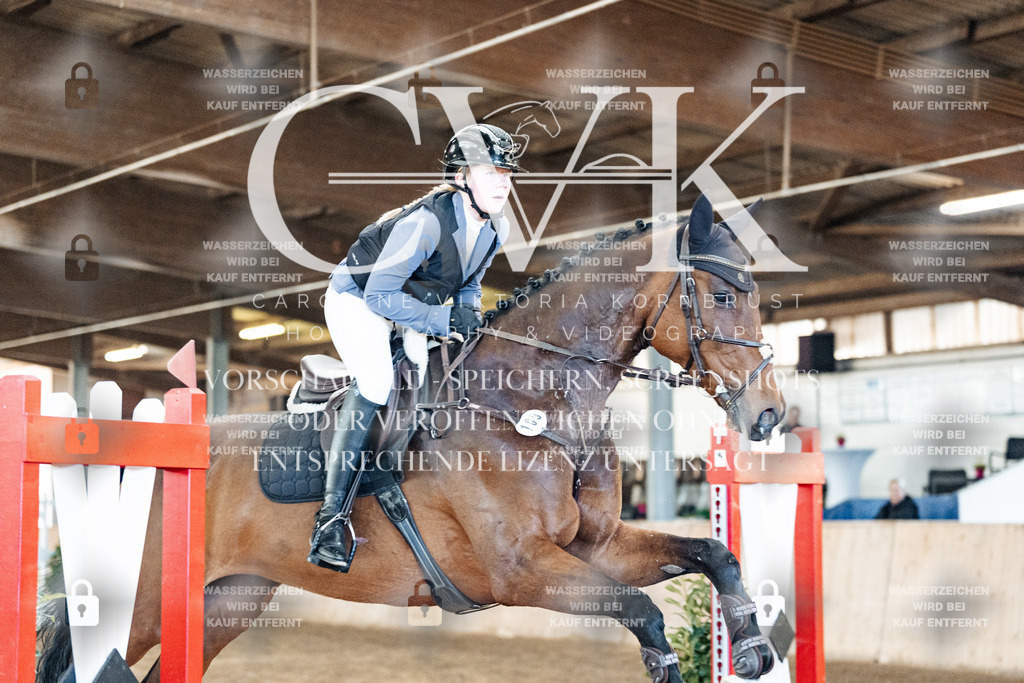 CK903712 | Turnierfotografie Pferdefotografie Trier Rheinland-Pfalz Pferdesport Reitsport Tierfotografie Sportfotografie Pferdevideo Pferdevideografie Equestrianvideography equestrianphotography  - Realisiert mit Pictrs.com