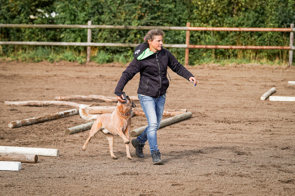 DSC00239 | Pferdegrafie