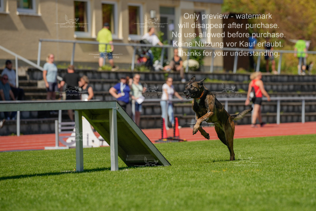 Sonntag_VK Hindernis (165 von 671) | stephaniefillaphotographie - Realisiert mit Pictrs.com