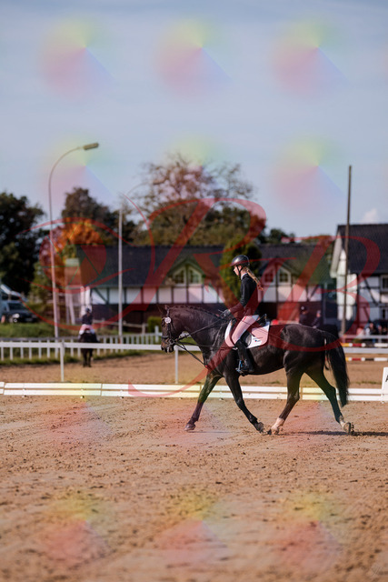 2026_10_03_Siefer-Hof_115444_Z81_94511593 | Professionelle Reitsport-, Turnier- und Eventfotografie von Robert Broda. Galerien mit ausgewählten und bearbeiteten Bildern direkt online ansehen und bestellen.