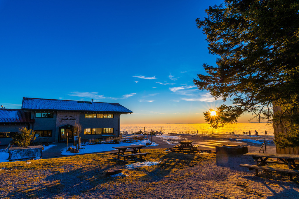 grinde_0302025-148 | <div id="allefotografen-seal-verified-green"></div><script src="https://www.allefotografen.de/956728/seal-verified-green/seal.js" async="async"></script> - Realisiert mit Pictrs.com