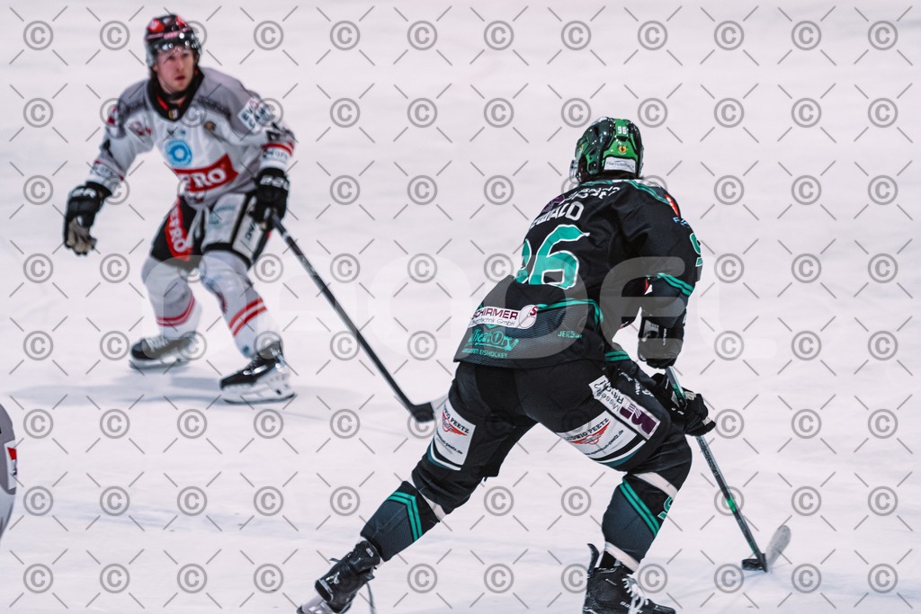 Alligators_vs_Memmingen_05_12_2025-096 | Höchstadt Alligators Fotogalerie: Eishockey-Action aus Franken. Professionelle Spielfotos, Portraits & Stadionbilder zum Download. Jetzt entdecken! - Realisiert mit Pictrs.com