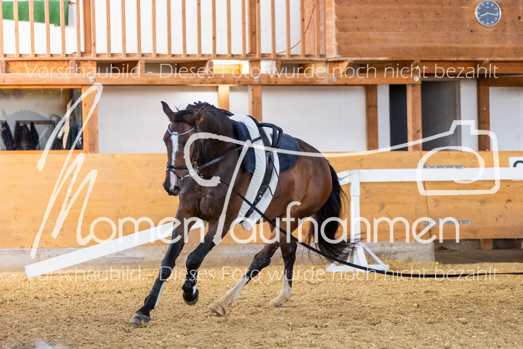 VTD-Voltigierpferde-063 | MomenTaufnahmen Pferdesportfotos