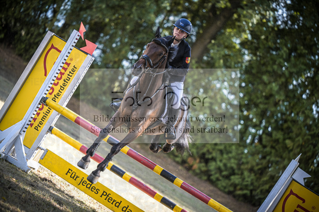 DOS_1338 | Entdecke hochwertige Reitturnierfotos von Foto Oger. Professionell, emotional und authentisch – jetzt Lieblingsmomente im Shop bestellen.Deutschlandweite Turnierfotografie. - Realisiert mit Pictrs.com