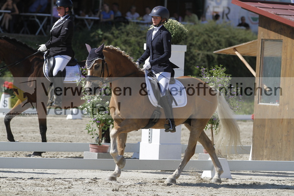 _MG_0666 | equestrian-live-com