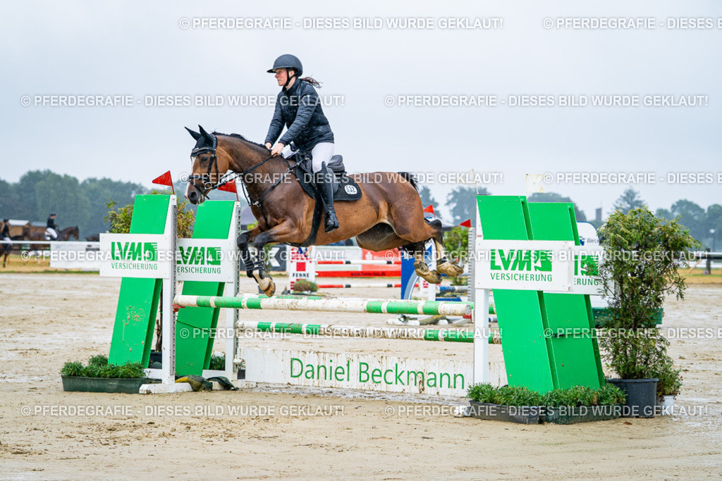 DSC03088 | Pferdegrafie