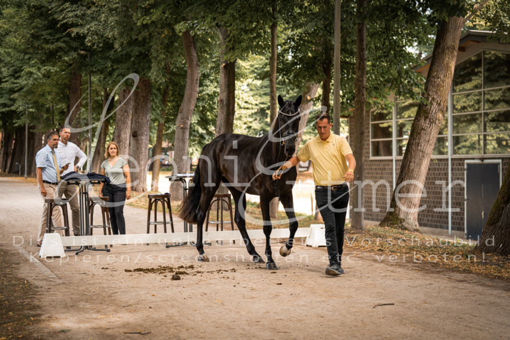 FrPfM00063 | Leoni Ertmer Photography - Realisiert mit Pictrs.com