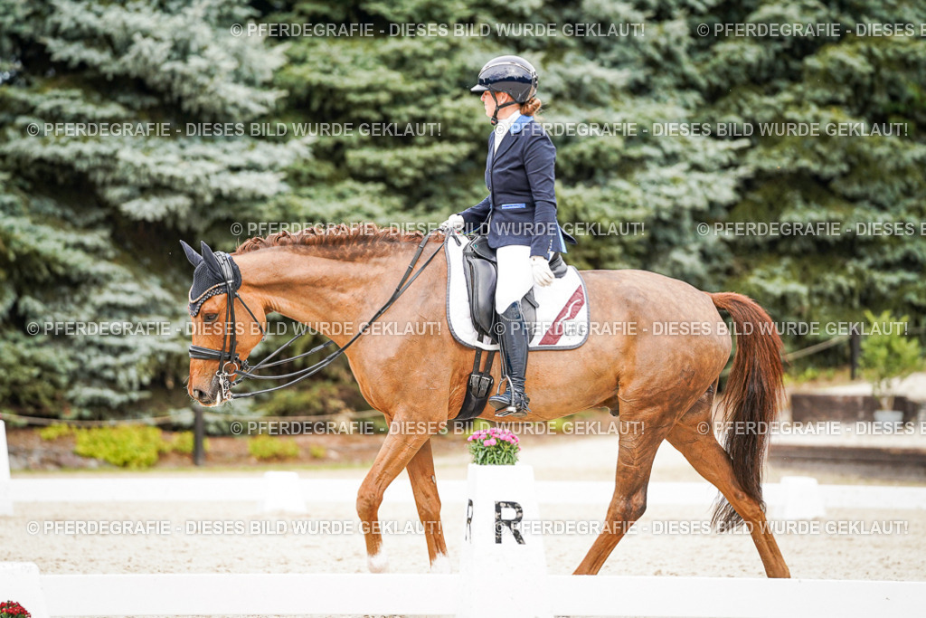 DSC07548 | Pferdegrafie