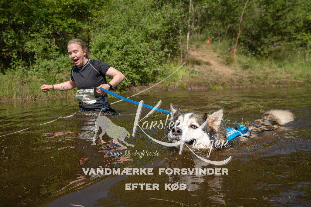 1016DKK990340 | kk-dogfotos
