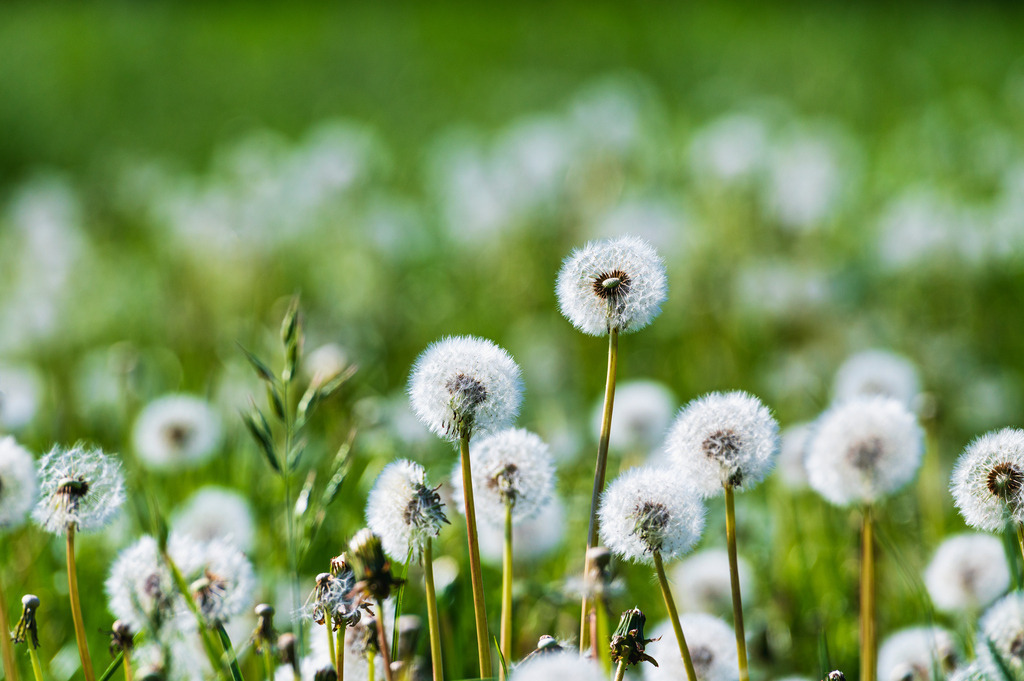 2024_05_08_QUICKBORN-HIMMELMOOR_MCP8513 | Hochwertig gedruckte Fotografien für die Wand, als Kalender und zum Verschenken. Hamburg & Norddeutschland und überall wo ich mit der Kamera unterwegs war.