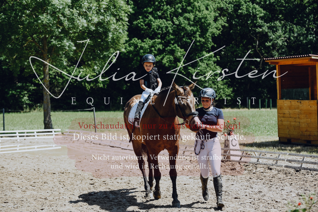 DSC_2599 | Pferde- und Turnierfotografie in Westsachsen. Pferdeportraits, Auftragszeichnungen und intuitive Kunst.