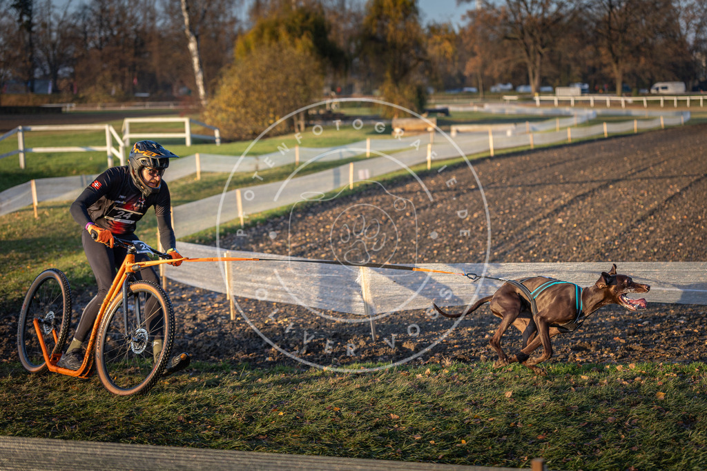CaniXpix_DV3A9792 | Hundefotografie, Tierfotograf, Pfotenfotografie, Fotoshooting Hund, Hunde Portrait, Hundesport, Hundeportraits, Heideshooting, Hunde, Sportfotograf, Hundefotograf, Turnierhundsport, THS,  - Realisiert mit Pictrs.com