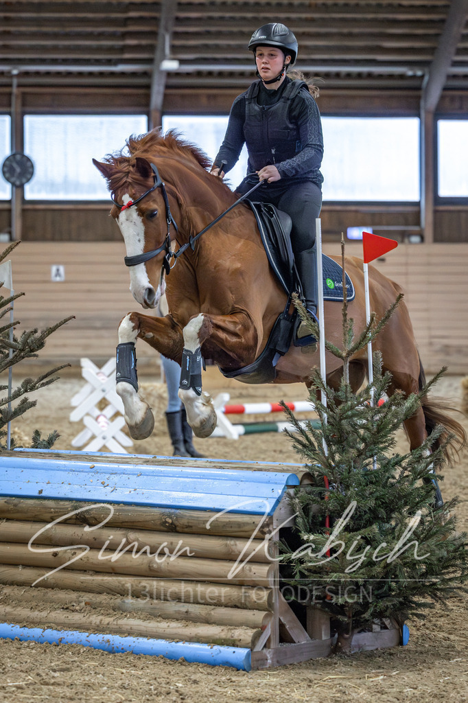 20260222-_3LI1622 | Tierfotografie Pferde, Hunde, Katzen, Haustiere.
Turnierfotografie Reitturniere, Reiten, Springreiten, Dressur in Hanau, dem Main-Kinzig-Kreis und dem Rhein-Main- Gebiet um Frankfurt