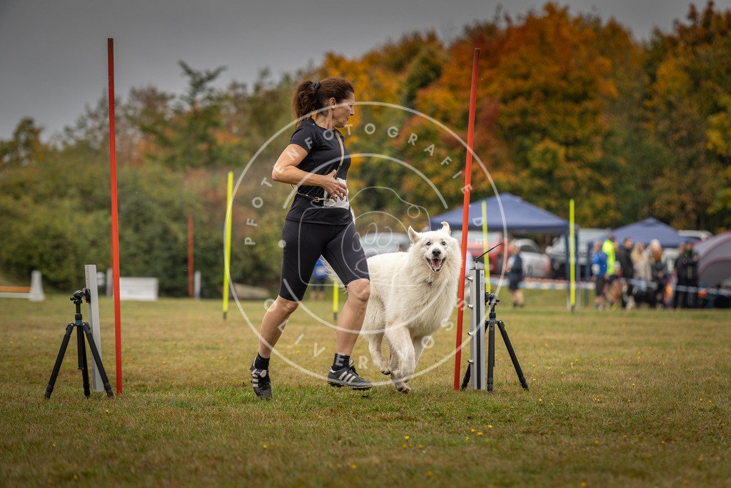 Pfotenfotografie_DV3A1962 | Hundefotografie, Tierfotograf, Pfotenfotografie, Fotoshooting Hund, Hunde Portrait, Hundesport, Hundeportraits, Heideshooting, Hunde, Sportfotograf, Hundefotograf, Turnierhundsport, THS,  - Realisiert mit Pictrs.com