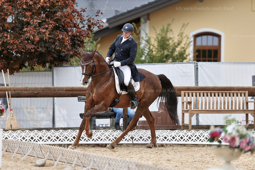 11-092-Dressur S___-Marixx-1616 | working equitationturnier fotograf videograf stoibphotography marixx film working equitation deutschland reitsport turnierfotografie eventfotografie equestrian events