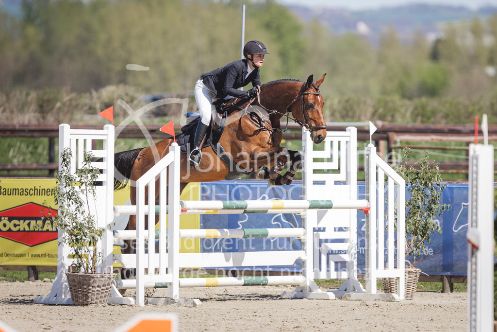 220416_3_A-Springen2-450 | Frühlingsfest der Pferde
Herford
16.April 2022
03/2 Sprigprüfung mit steigenden Anforderungen Kl. A** geschlossen 44-481 RLP