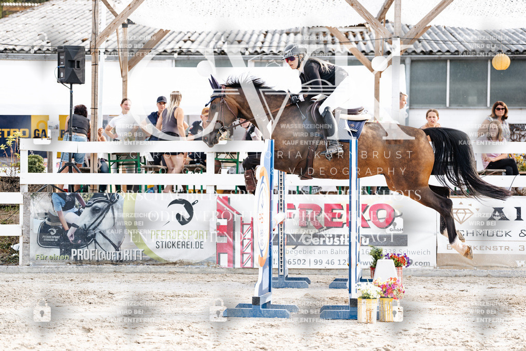 CK907086 | Turnierfotografie Pferdefotografie Trier Rheinland-Pfalz Pferdesport Reitsport Tierfotografie Sportfotografie Pferdevideo Pferdevideografie Equestrianvideography equestrianphotography  - Realisiert mit Pictrs.com