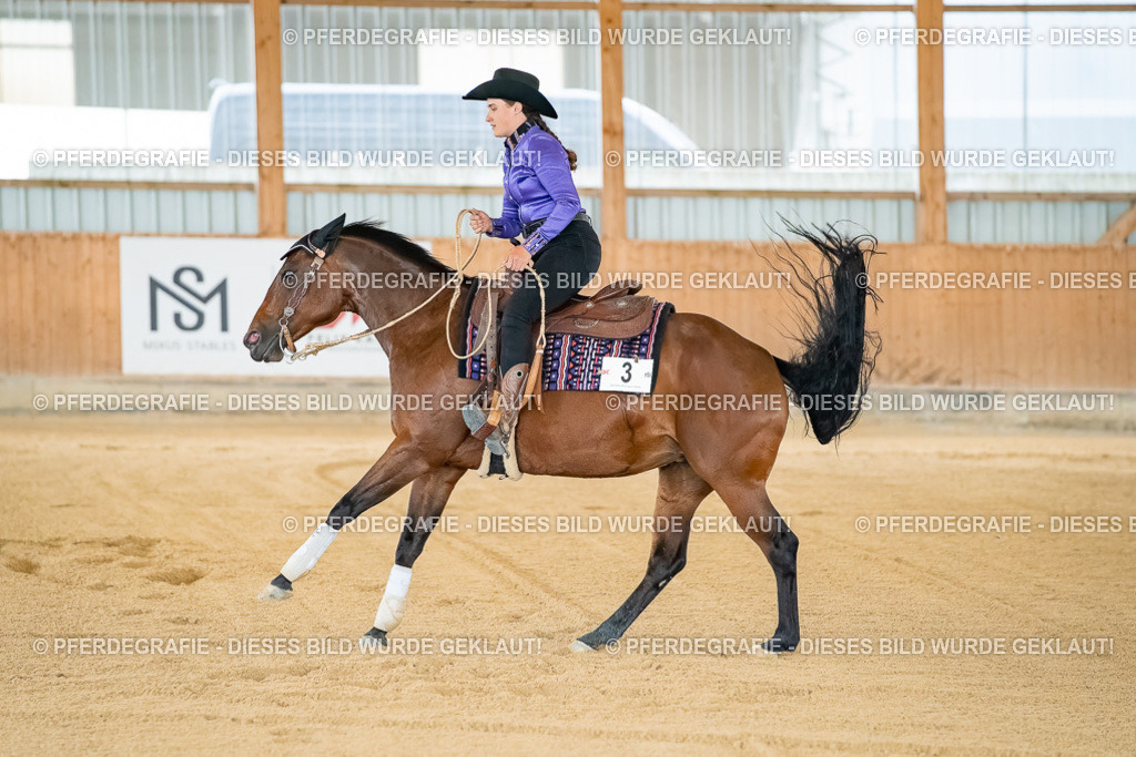 DSC07723 | Pferdegrafie