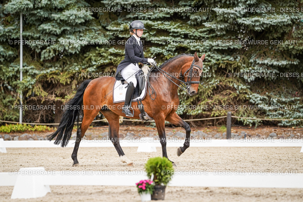 DSC05615 | Pferdegrafie