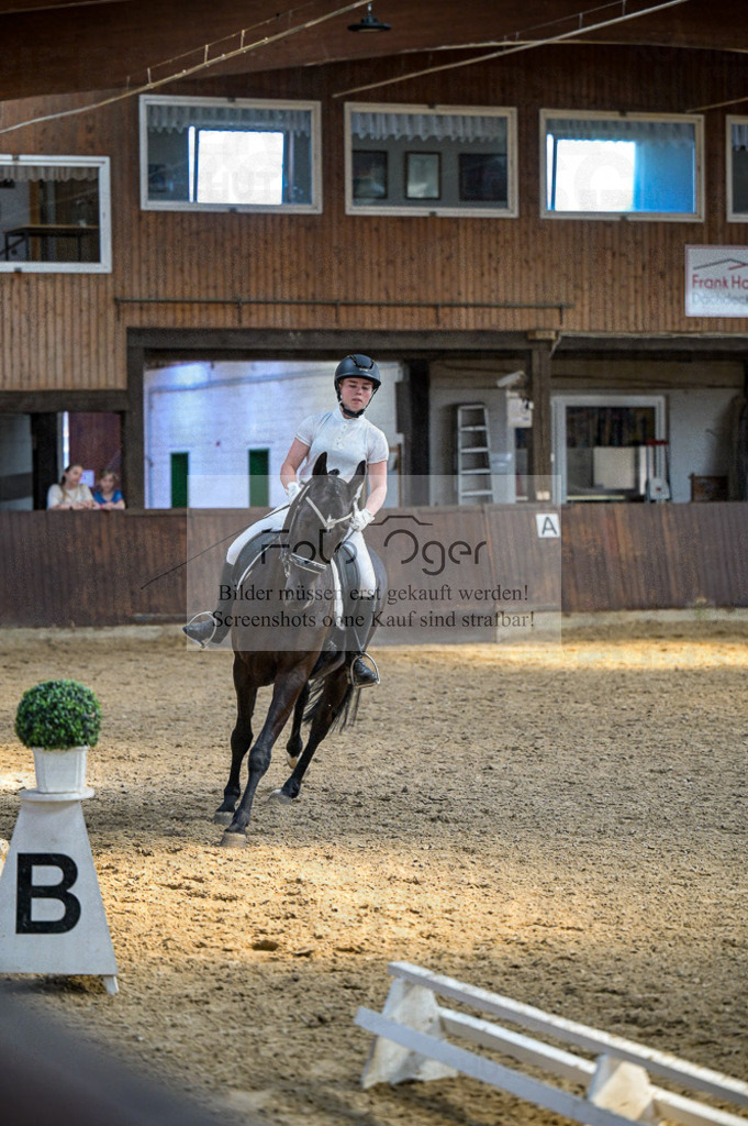 Reitturnier Voxtrup | Entdecke hochwertige Reitturnierfotos von Foto Oger. Professionell, emotional und authentisch – jetzt Lieblingsmomente im Shop bestellen.Deutschlandweite Turnierfotografie. - Realisiert mit Pictrs.com