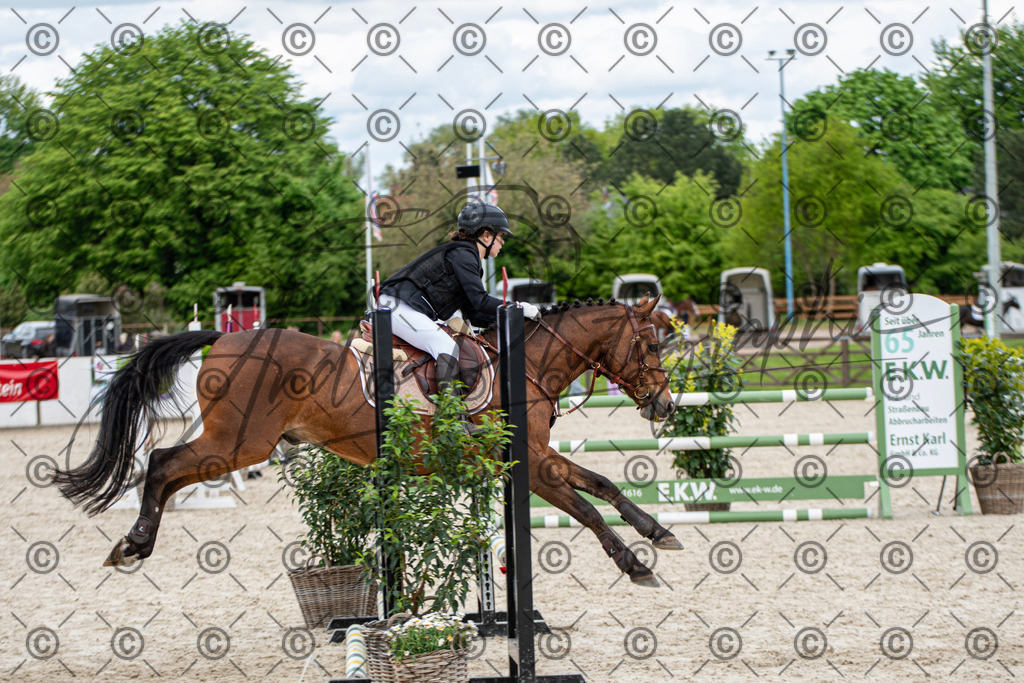 KPT_6384 | andre_photographic