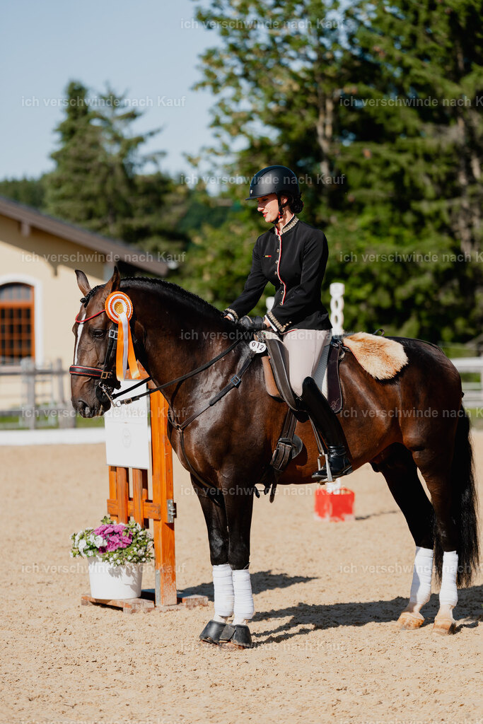 Virginie12FHC2025-09207 | working equitationturnier fotograf videograf stoibphotography marixx film working equitation deutschland reitsport turnierfotografie eventfotografie equestrian events