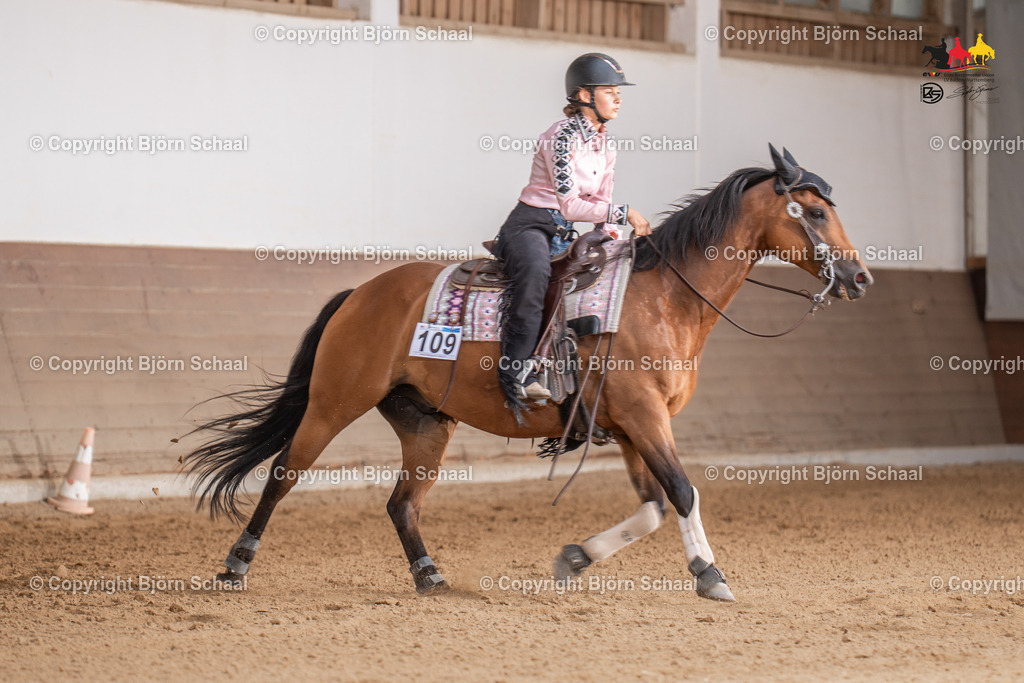 LMS06214 | BS-foto
