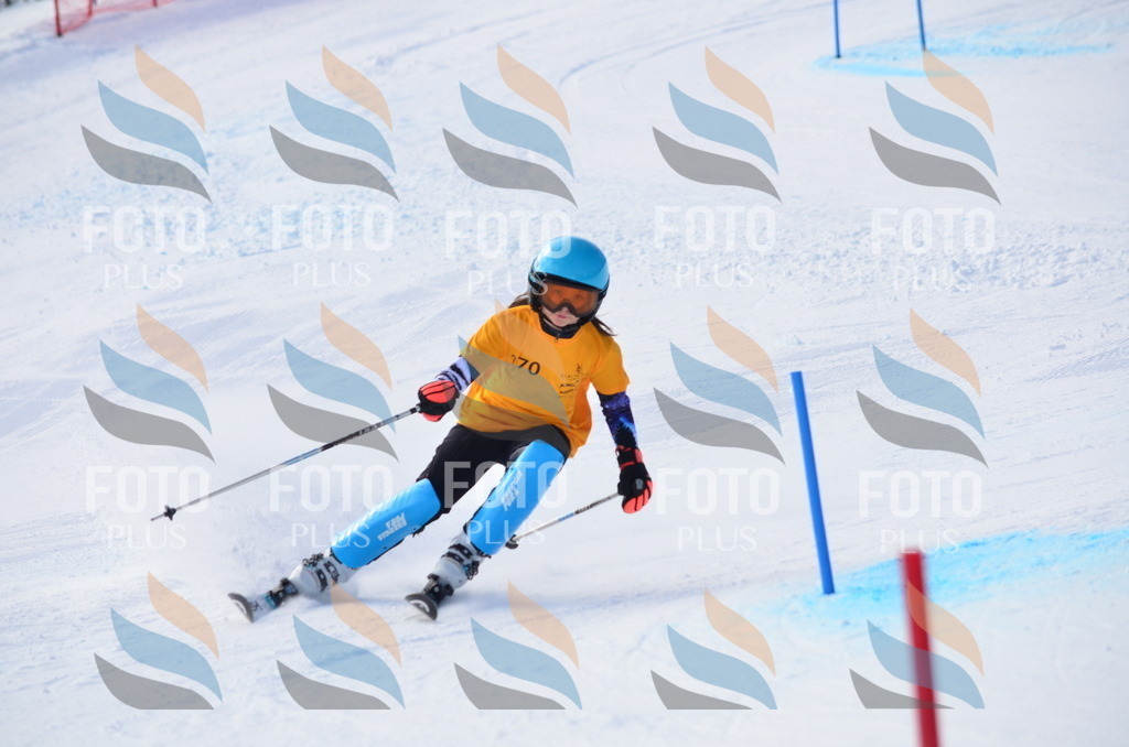 C7895 | holidayphoto