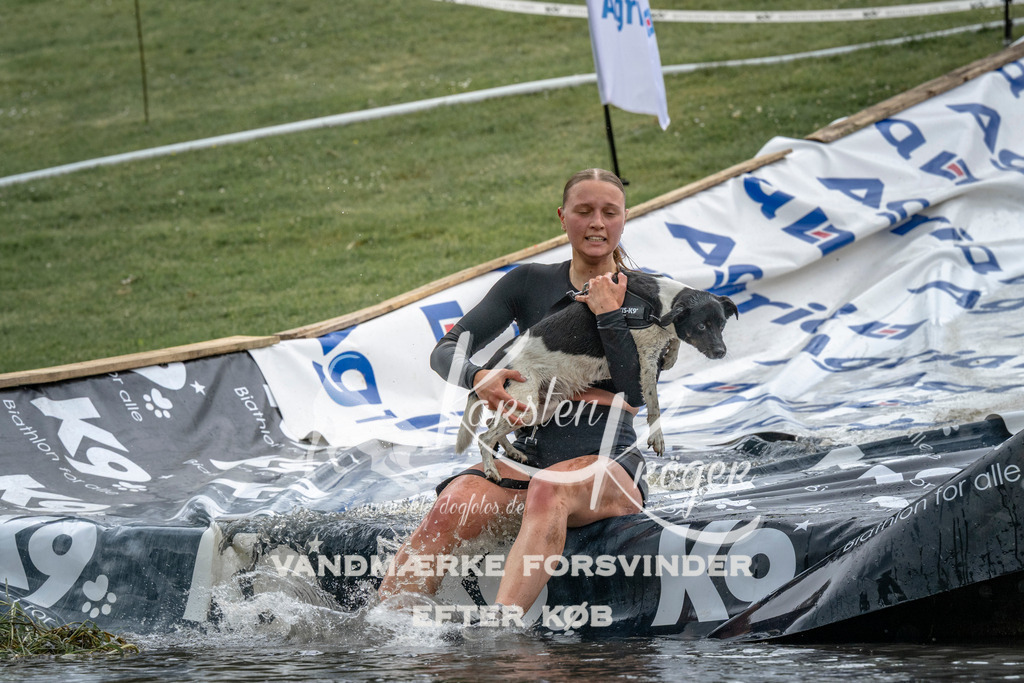 1516_ZZ94151 | kk-dogfotos