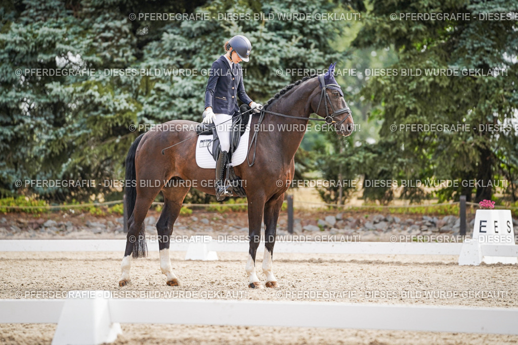 DSC01447 | Pferdegrafie