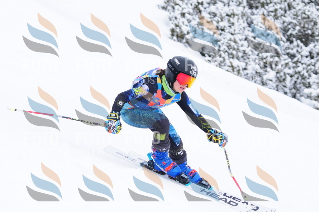 C3843 | holidayphoto