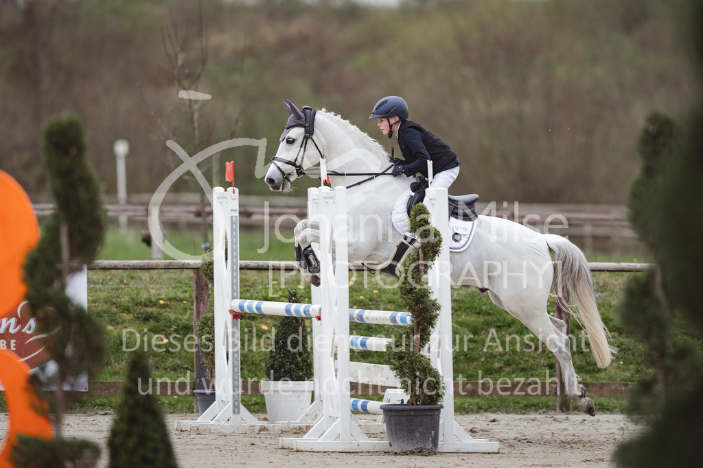 240330_Fruehlingsfest_Stil-A2-1-679 | Deine schönsten Turniermomente als professionelle Fotos! Entdecke hochwertige Pferdesport-Fotografie im Online-Shop. Jetzt Fotos finden & bestellen!