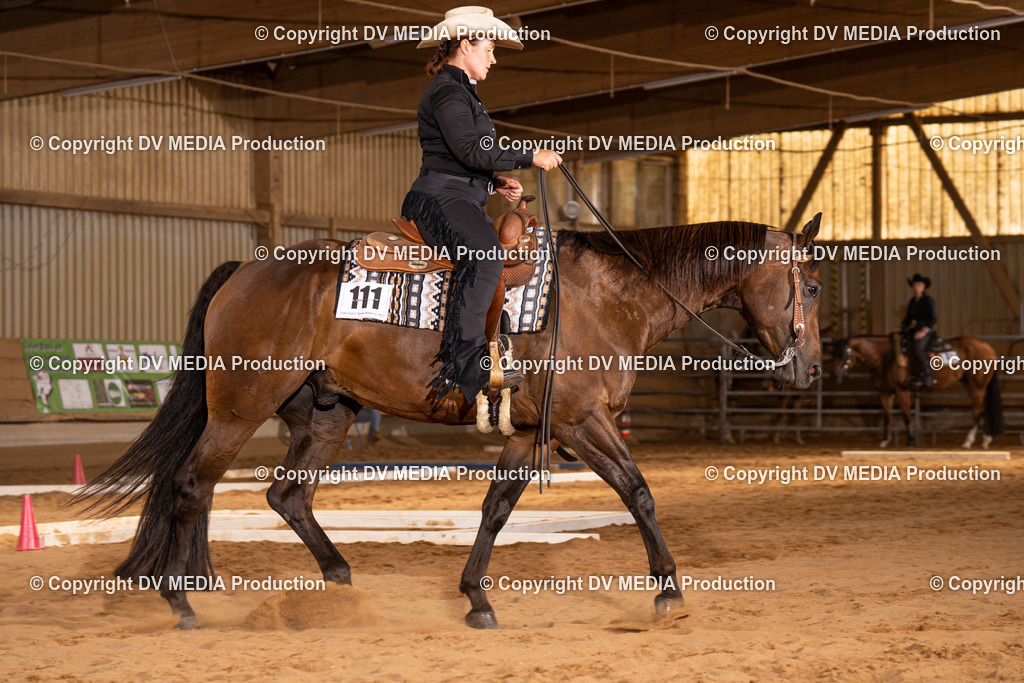 NID00622 | dv-media-shop - Realisiert mit Pictrs.com