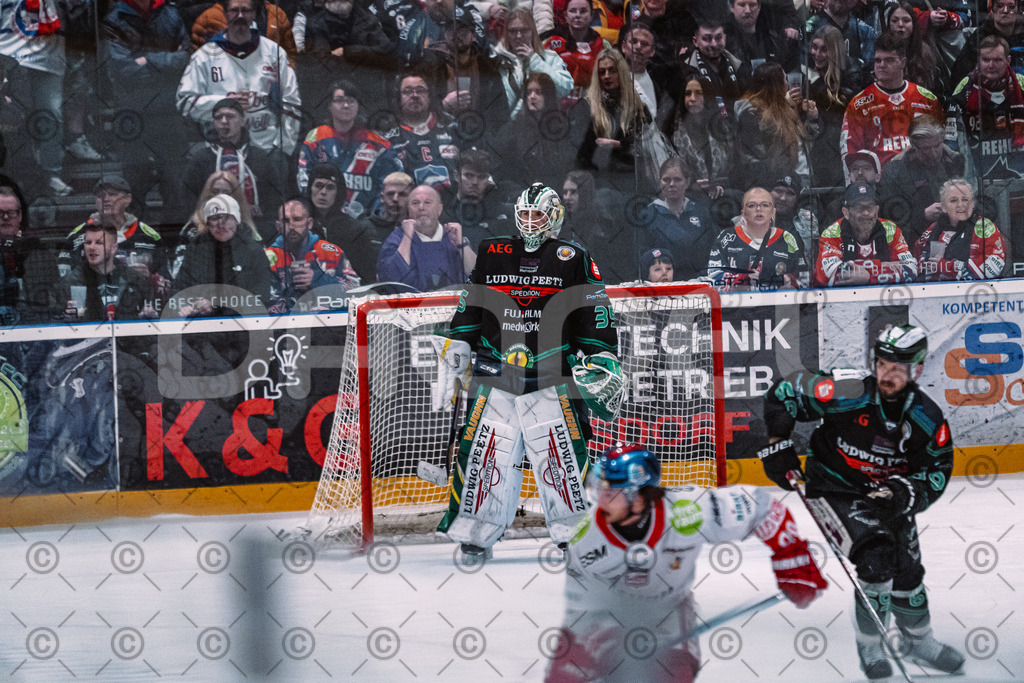 Alligators_vs_Selb_27_02_2026-36 | Höchstadt Alligators Fotogalerie: Eishockey-Action aus Franken. Professionelle Spielfotos, Portraits & Stadionbilder zum Download. Jetzt entdecken! - Realisiert mit Pictrs.com