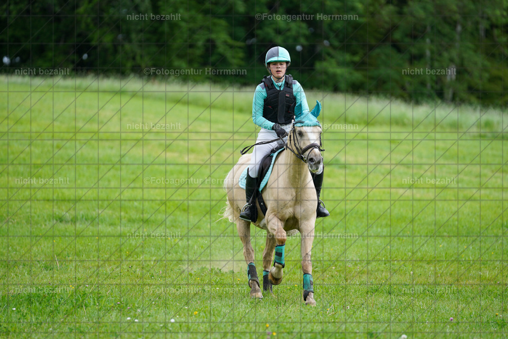20240518-FAH03674 | Turnierbilder von Niederseon, Turnierfotografen Bayern, Fotoagentur Herrmann, Geländebilder, Reitsportfotografie