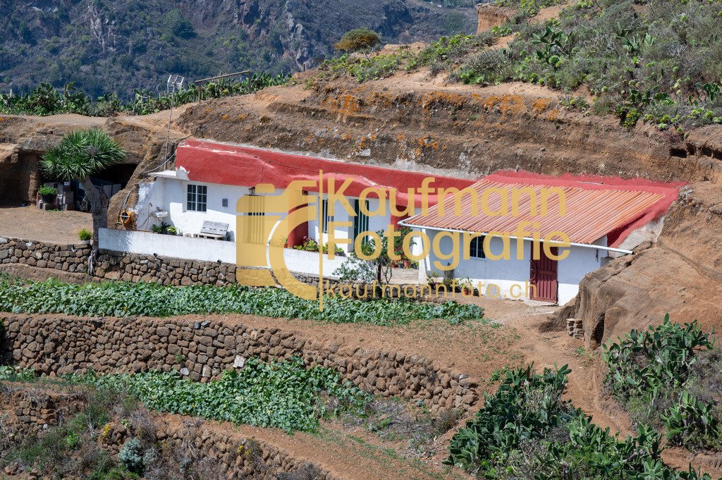 Teneriffe-7338 | kaufmannfoto - Realisiert mit Pictrs.com