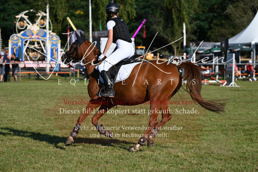 DSC_4808 | Pferde- und Turnierfotografie in Westsachsen. Pferdeportraits, Auftragszeichnungen und intuitive Kunst.
