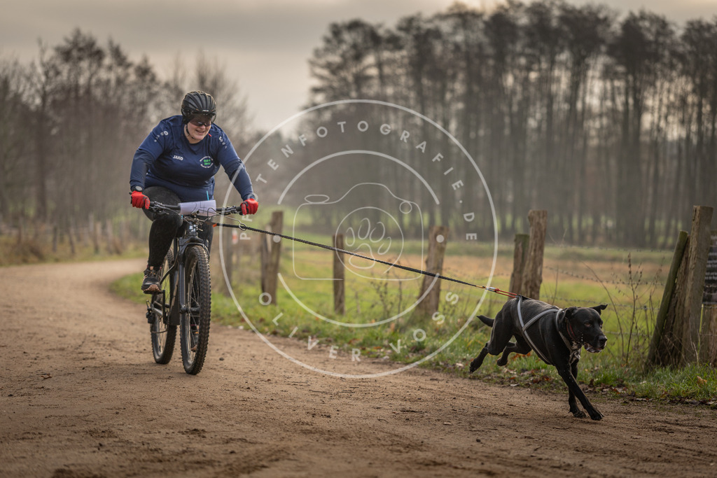 Pfotenfotografie_DV3A2033 | Hundefotografie, Tierfotograf, Pfotenfotografie, Fotoshooting Hund, Hunde Portrait, Hundesport, Hundeportraits, Heideshooting, Hunde, Sportfotograf, Hundefotograf, Turnierhundsport, THS,  - Realisiert mit Pictrs.com
