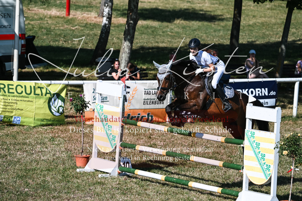 DSC_2069 | Pferde- und Turnierfotografie in Westsachsen. Pferdeportraits, Auftragszeichnungen und intuitive Kunst.