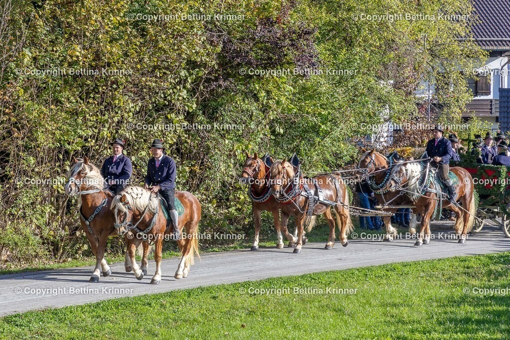 LBT24-275 | foto-bettina-krinner - Realisiert mit Pictrs.com