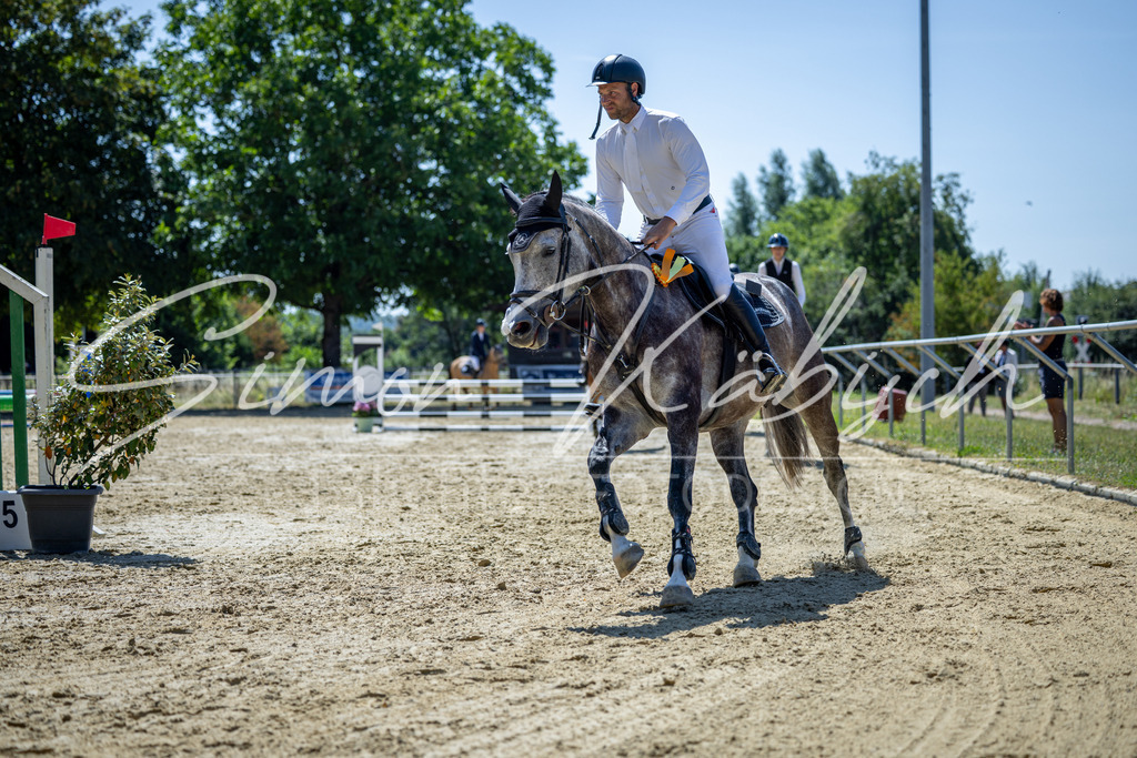 20260704-_3LI8231 | Tierfotografie Pferde, Hunde, Katzen, Haustiere.
Turnierfotografie Reitturniere, Reiten, Springreiten, Dressur in Hanau, dem Main-Kinzig-Kreis und dem Rhein-Main- Gebiet um Frankfurt