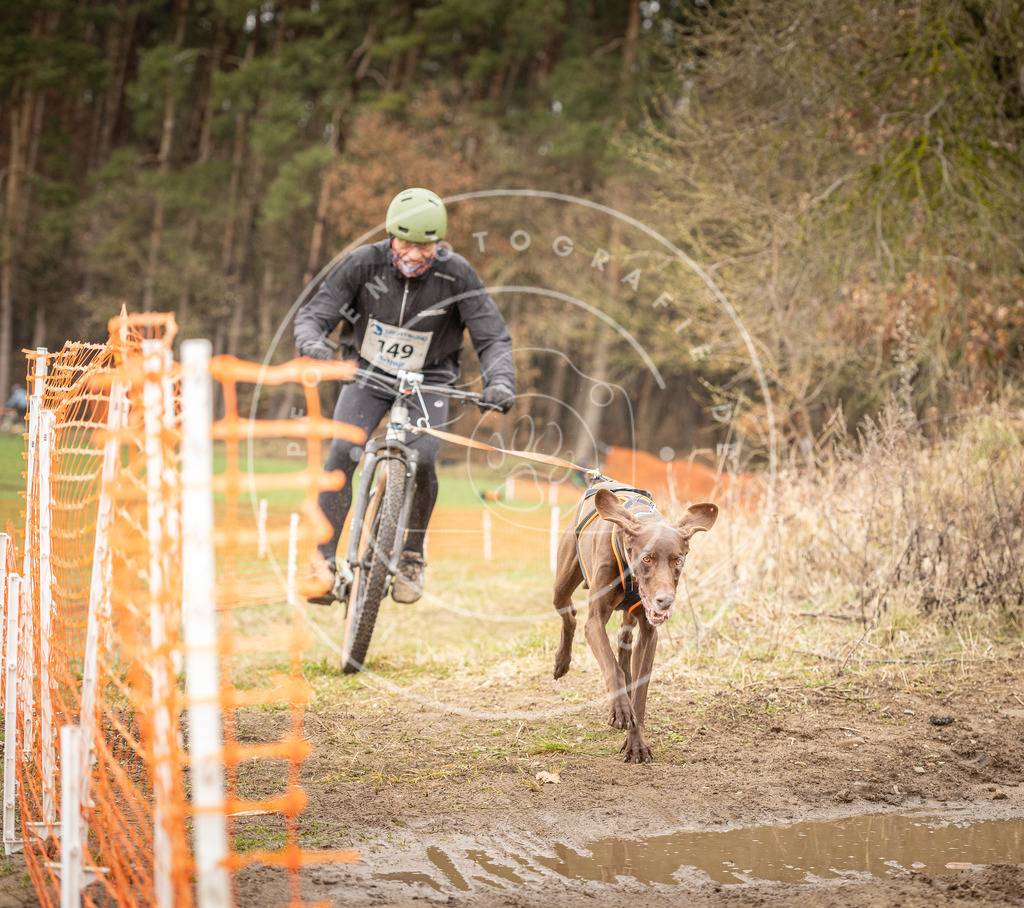 DV3A1189 | Hundefotografie, Tierfotograf, Pfotenfotografie, Fotoshooting Hund, Hunde Portrait, Hundesport, Hundeportraits, Heideshooting, Hunde, Sportfotograf, Hundefotograf, Turnierhundsport, THS,  - Realisiert mit Pictrs.com