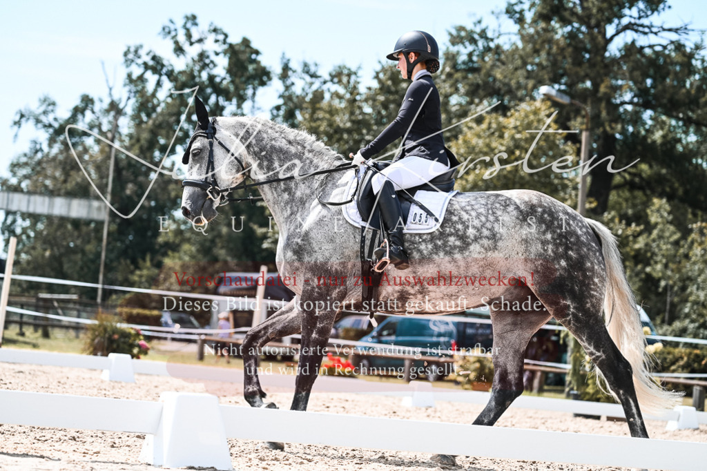DSC_5596 | Pferde- und Turnierfotografie in Westsachsen. Pferdeportraits, Auftragszeichnungen und intuitive Kunst.